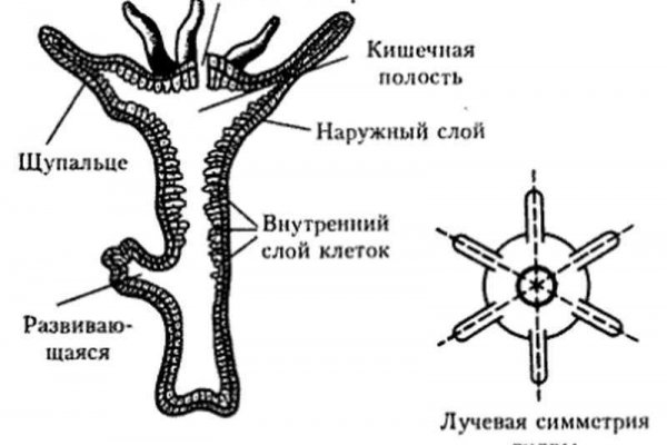 Кракен наркоз магазин