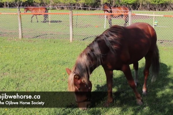 Кракен официальный сайт krakens13 at