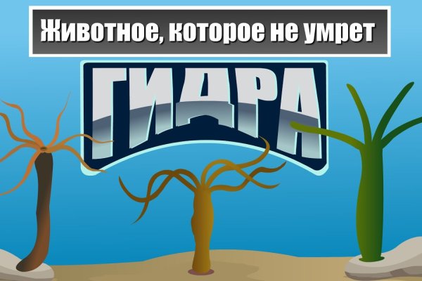 Кракен тор браузер